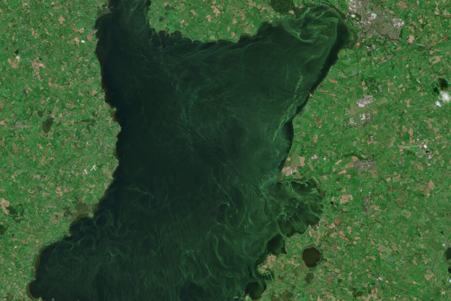 Overhead satellite image of Lough Neagh, Northern Ireland.