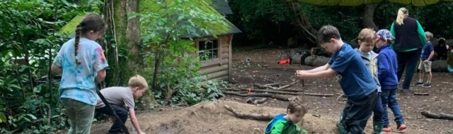 A photograph showing primary school children learning in a forest environment